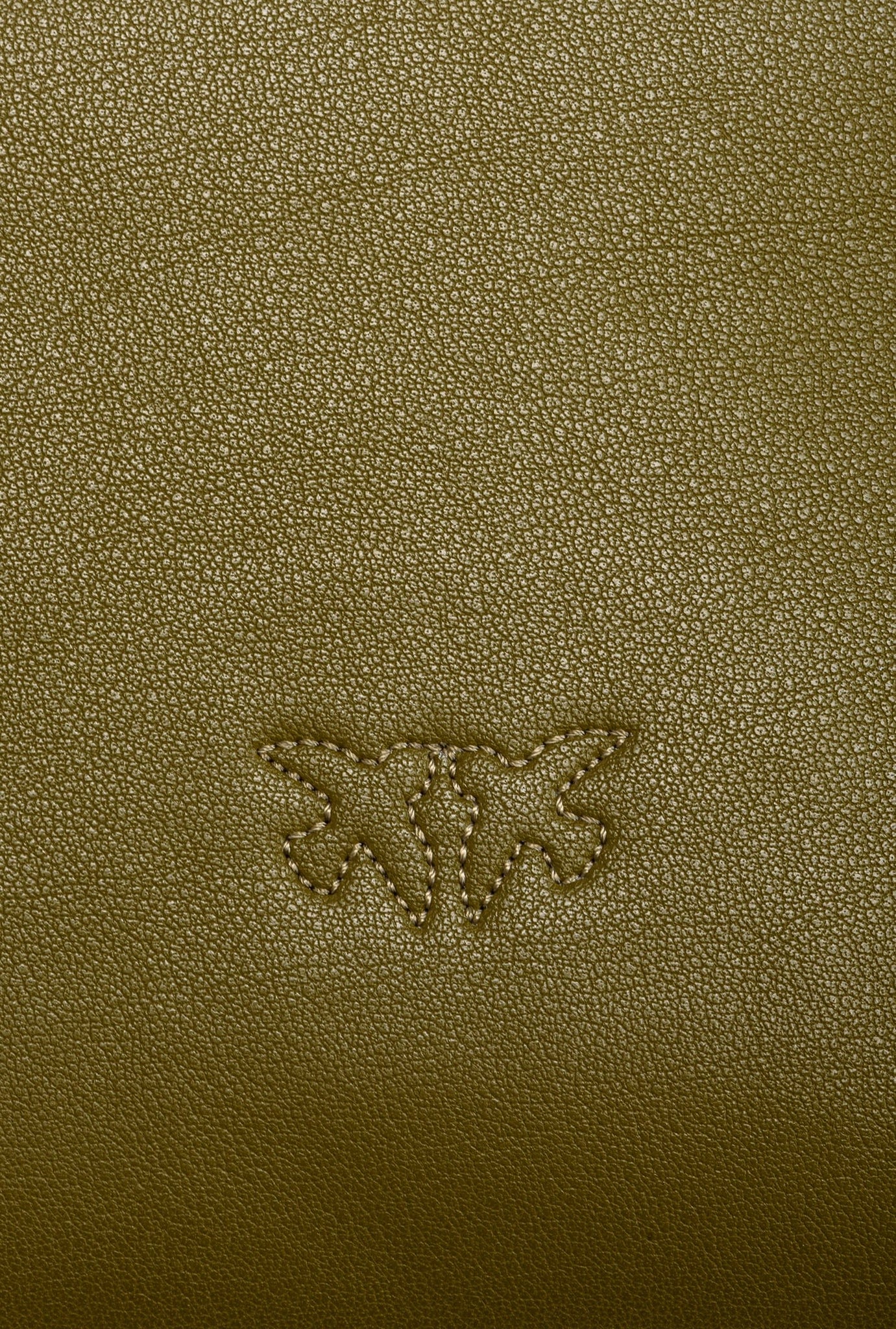 Borsa Cupido Messenger in Pelle / Verde - Ideal Moda